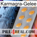 Karmagra Jelly 44
